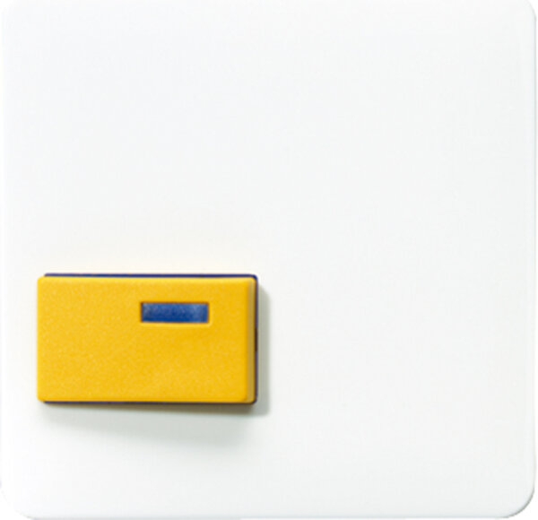 Jung Abdeckung aws für Fab.Ackermann CD 642 D WW