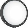 Steinel Sensor-LED-Außenleuchte 109 x 253 x 270 mm L 330 S ANT 3000K – Bild 2