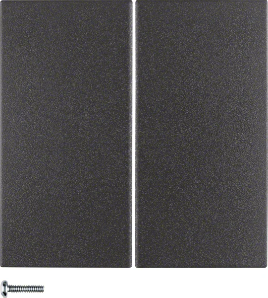 Berker KNX-Funk Taste 2fach anthrazit matt 85146185