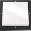 SG LEUCHTEN Sensorleuchte 2x27W HV sw BASSO 614199 – Bild 2