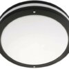 SG LEUCHTEN LED-Sensorleuchte 12W 4000K EVJE 644823 1250lm sw Konv – Bild 2