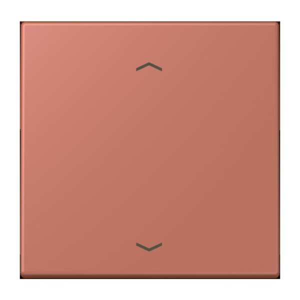 Jung LC1700P236 Steuertaste Standard -Pfeile LC32121