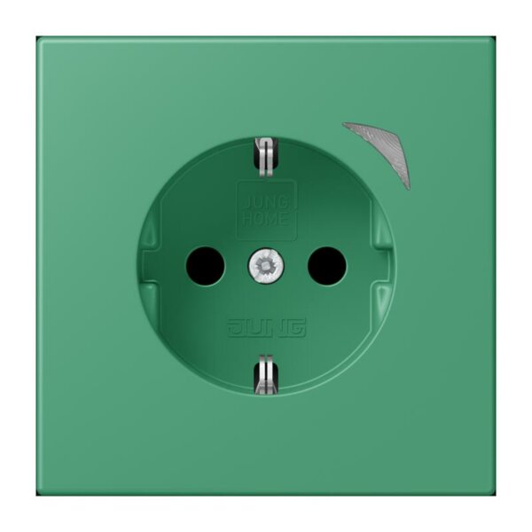 Jung BTLC1521S250 JUNG HOME SCHUKO Steckdose LC4320G