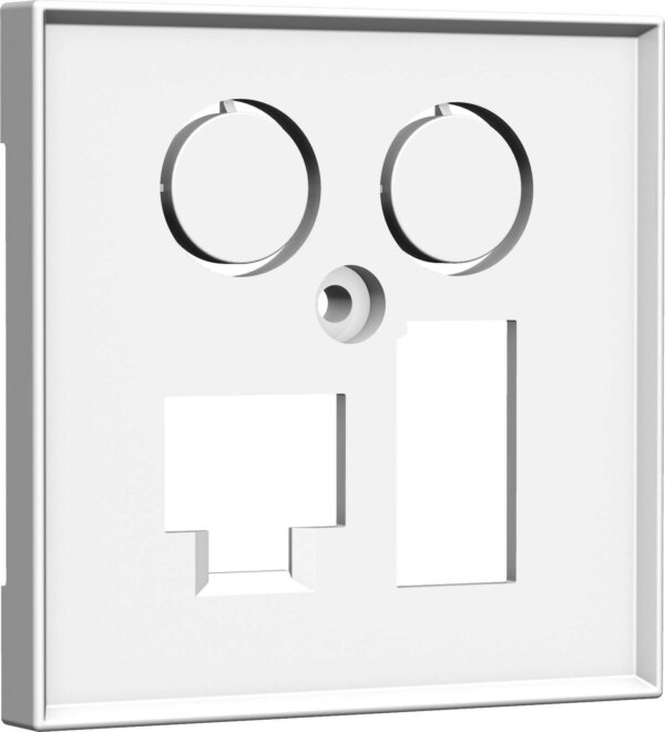 homeway HW-ZLTVWG55V1 TV+LAN/TAE 55x55mm Zentralplatte verkehrsweiß