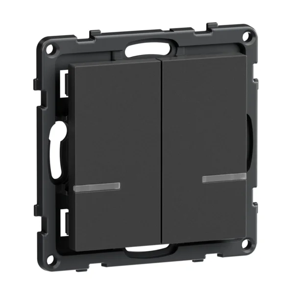 Legrand 765934 Seano with Netatmo Wandsender 2-Fach Anthrazit