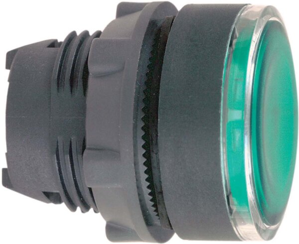 Schneider ZB5AH033 Frontelement grün f.Leuchtdrucktaster D22mm
