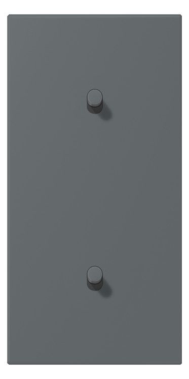 Jung LC12-20R0202 Abd. m.Kipph. "Zylinder" 2x1 Kipph. senkr. LS 1912 gri