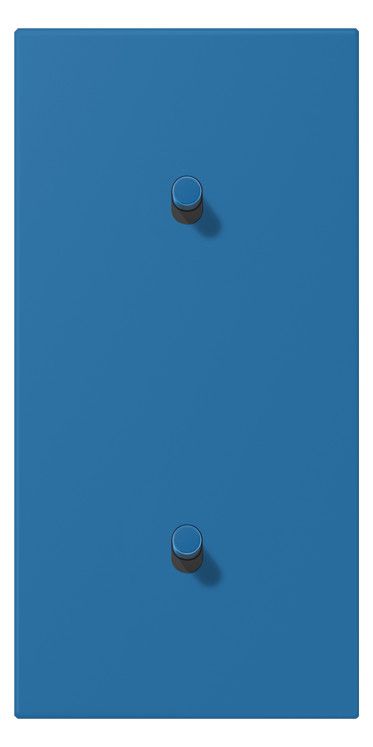 Jung LC12-20R0211 Abd. m.Kipph. "Zylinder" 2x1 Kipph. senkr. LS 1912 ble