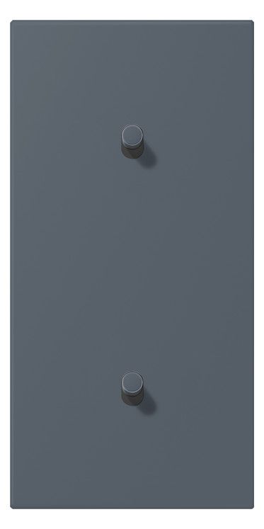 Jung LC12-20R0262 Abd. m.Kipph. "Zylinder" 2x1 Kipph. senkr. LS 1912 gri