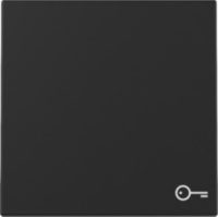 GIRA 3287005 Wippe Symbol Tür System 55 Schwarz matt (lackiert)