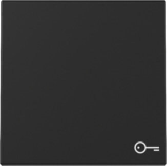 Gira Gira 3287005 Wippe Symbol Tür System 55 Schwarz matt (lackiert)