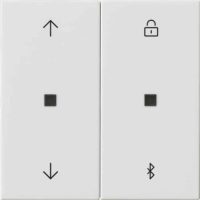 Gira Jalousie- + Schaltuhr Bluetooth Sys.55 reinweiß 536703