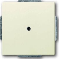 Busch-Jaeger Zentralscheibe sav/ews Blindabdeckung, mit Tragring 1742-82