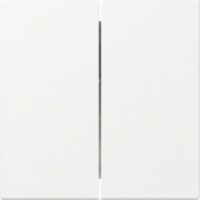 GIRA 349527 Wippe 2fach gerade System 55 Reinweiß seidenmatt