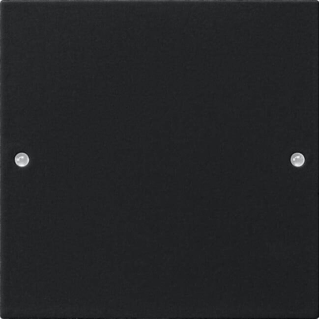 Gira Gira Wippenset 1-fach schwarz/lackiert 2181005