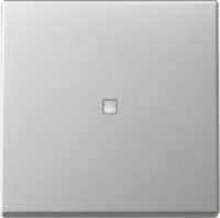 GIRA 3290600 Wippe Kontrollfenster System 55 Edelstahl