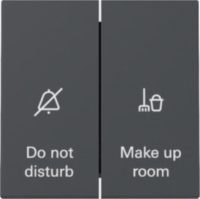 GIRA 310428 Wippschalter Anzeige Hotel- zimmerstatus System 55 Anthrazit