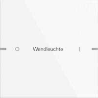 Gira Wippenset 1-fach Tastsens TS4 reinweiß 5031903