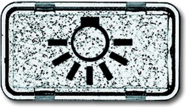 Busch-Jaeger Busch-Jaeger Tastersymbol Licht 2622 LI-101