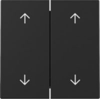 GIRA 3297005 Wippe 2fach Pfeile System 55 Schwarz matt (lackiert)