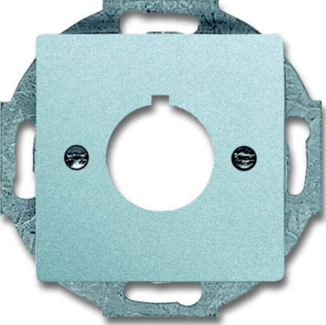 Busch-Jaeger Busch-Jaeger Zentralscheibe Aluminium-Silber 22,5mm Befehlsgeräte 2533-83