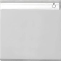 Gira Wippe BSF grau 0299015