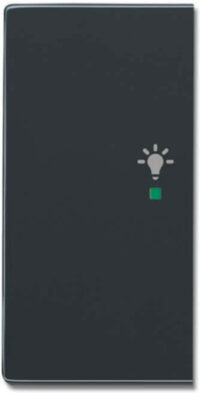 Busch-Jaeger Wippe 2-f li, Symbol Licht anthrazit 6231-21-81