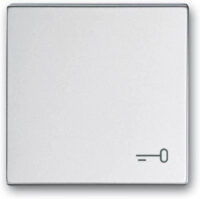 Busch-Jaeger Wippe mit Aufdruck Aluminium-Silber 2520 TR-83
