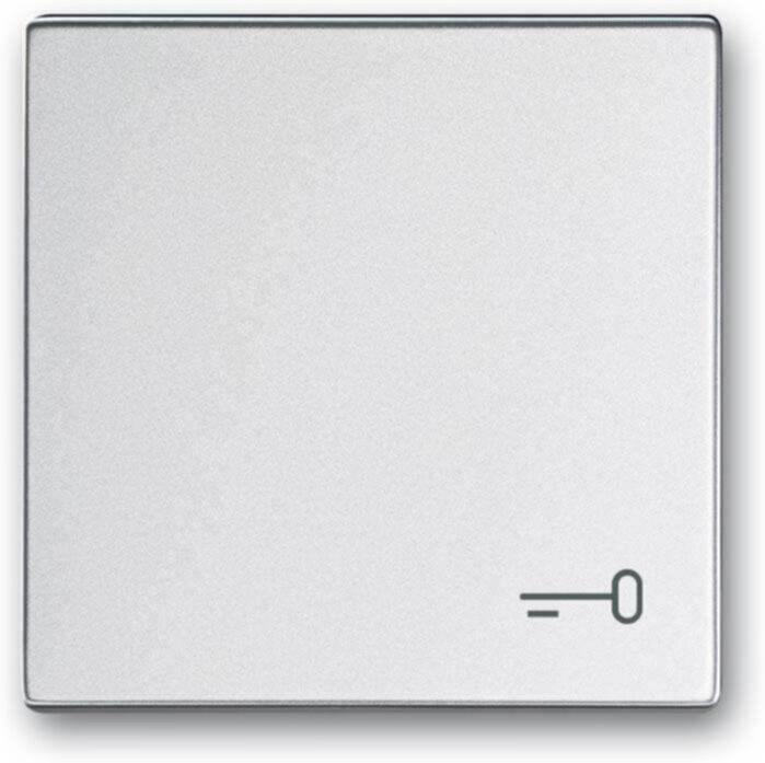 Busch-Jaeger Busch-Jaeger Wippe mit Aufdruck Aluminium-Silber 2520 TR-83