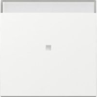 GIRA 367003 Wippe Kontrollfenster+BSF System 55 Reinweiß glänzend