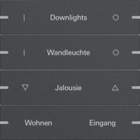 Gira Wippenset 4-fach Tastsens.4 TS4 Anthr 5034928