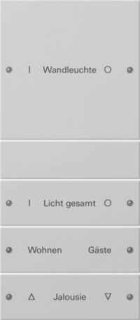 Gira Wippenset 4-f. 1+3 beschr.gr lackiert 2204015