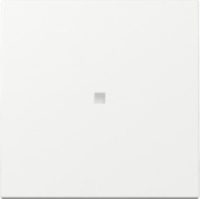 GIRA 329003 Wippe Kontrollfenster System 55 Reinweiß glänzend