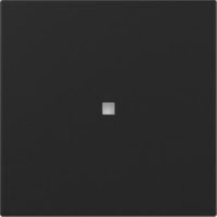 GIRA 3490005 Wippe gerade Kontroll- fenster System 55 Schwarz matt (lackiert)