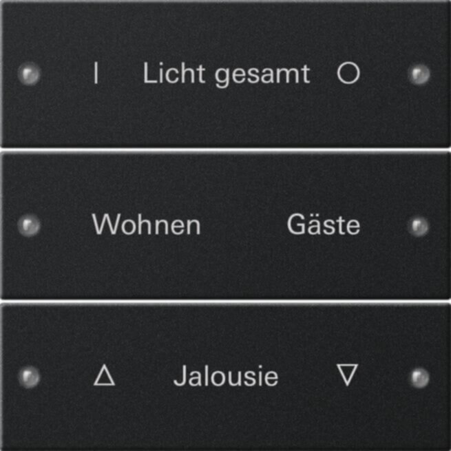 Gira Gira Wippenset 3-fach beschr. System 55 schwarz 2203005