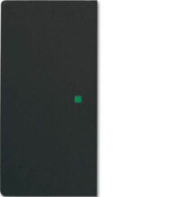 Bild vom Produkt: Busch-Jaeger Wippe schwarz matt future linear 6230-20-885