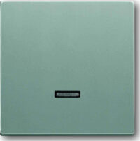 Busch-Jaeger Bedienelement Aluminium-Silber für St gerät, DimmerRe Ei 6543-83-101