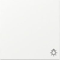 GIRA 328527 Wippe Symbol Licht System 55 Reinweiß seidenmatt