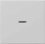 Gira Wippe Kontrollfenster grau 0290015
