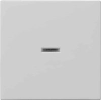 Gira Wippe Kontrollfenster grau 0290015