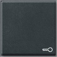 Gira Wippe Tür anthrazit TX44 028767