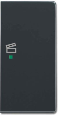 Busch-Jaeger Wippe 2-f re Symbol Szene anthrazit 6233-22-81