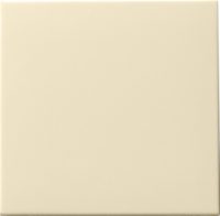 Gira Wippe cws/gl f. Tastschalter 091601