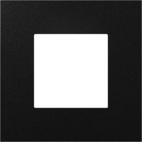 GIRA 5545925 Frontplatte Keyless In Fingerprintmodul System 106 Schwarz matt
