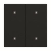 Busch-Jaeger Wippe 2-fach Elektroniktaster 2570-20-885