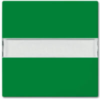 Busch-Jaeger Wippe grün RAL6032 2510 NLI-13-914