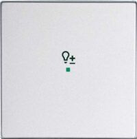 Busch-Jaeger Wippe 1-f Symbol Dimmer Aluminium-Silber 6234-10-83