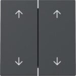 Gira 329728 Wippe 2-fach Pfeile System 55 Anthrazit