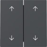 GIRA 329728 Wippe 2fach Pfeile System 55 Anthrazit