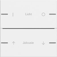 Gira Wippenset 2-fach indiv. Tastsensor Reinweiß 576227